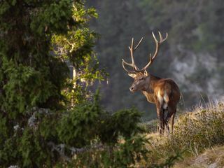 Bergwelten
