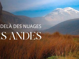 Die Anden Ecuadors