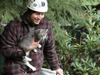 Die Katzenretter - Einsatz in der Baumkrone