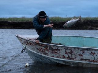 Life Below Zero - Überleben in Alaska