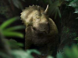 Unter Dinos - Geheimnisse der Urzeit