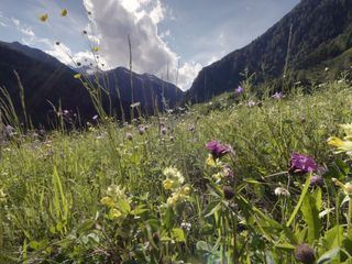 Lungau - Wildnis im Herzen der Tauern