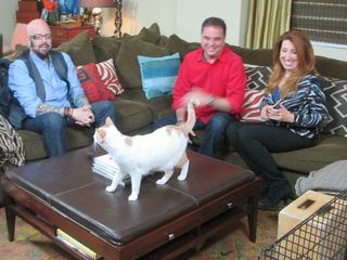 Der Katzenfluesterer Der Katzenfluesterer