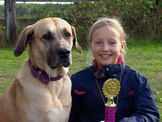 Liebste Fellnasen - Abenteuer Hundeschule