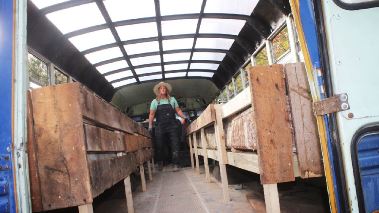 Home Rescue - Wohnen in der Wildnis