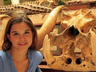 Anna und die wilden Tiere