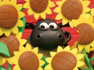Zeit fuer Timmy