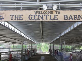 Pet Palace - Haustraeume fuer Haustiere