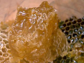 Die Bienenfluesterer