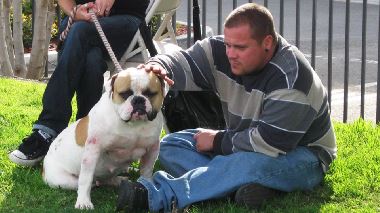 Pitbulls auf Bewaehrung