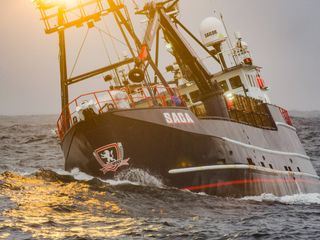 Fang des Lebens - Der gefaehrlichste Job Alaskas
