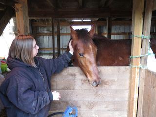 Der unglaubliche Dr. Pol