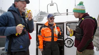 Jakten på jaettetonfisken