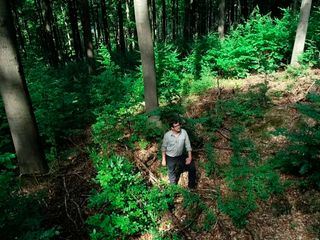 Der Kampf um den Wald
