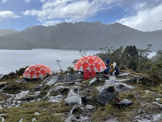 Patagonien - Rueckkehr zur Madre de Dios