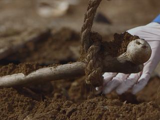 Der Coroner - Faelle der Rechtsmedizin