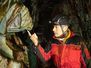 Faszination Erde - mit Dirk Steffens