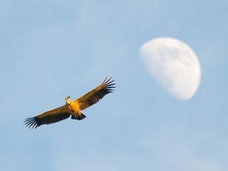 Extremadura, ein Naturparadies in Europa