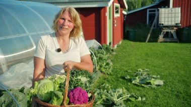 Med roetterna i snoen (meaenkieli)