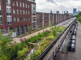 Gute Nachrichten vom Planeten