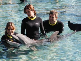 Kreuzfahrt ins Glueck: Hochzeitsreise nach Florida