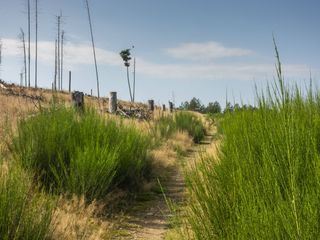 Deutschlands schoenste Wanderwege