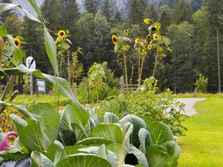 Gruenes Glueck - Gartenkultur in Vorarlberg