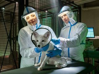 Tieraerztin Dr. Mertens