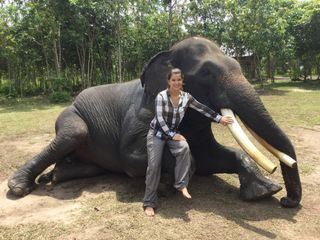 Anna und die wilden Tiere