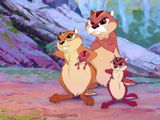 Baerenbrueder Baerenbrueder