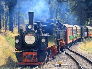 Den Harz erleben