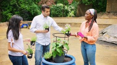 Homegrown - Aus Liebe zum Garten