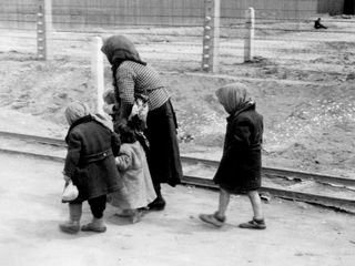 Auschwitz - Überleben in der Hoelle