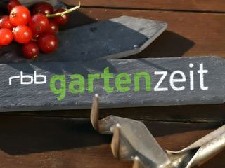 Gartenzeit