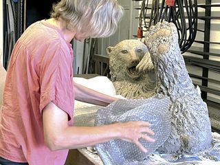 Der Eisbaer und die Kuenstlerin - Ein Artenschutzprojekt im Karlsruher Zoo