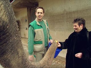 Eisbaer, Affe & Co.