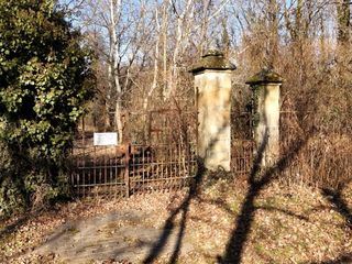 Klimt-Bilder - Das Kunstraetsel von Immendorf