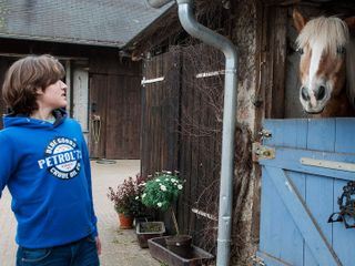 Tiere bis unters Dach