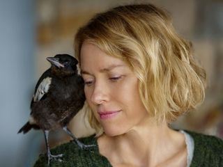 Befluegelt - Ein Vogel namens Penguin Bloom