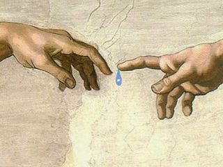 Wie schafft Wasser Leben?