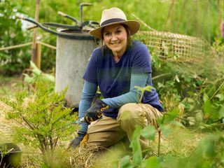 The Chelsea Detective