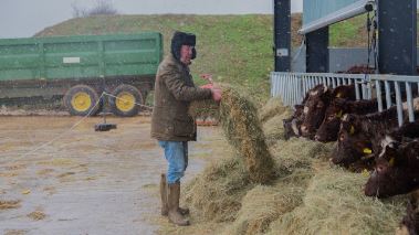 Clarksons farm