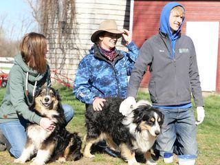 Heartland Docs - Die Tierarzt-Familie