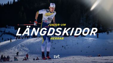 Laengdskidor: Junior-VM