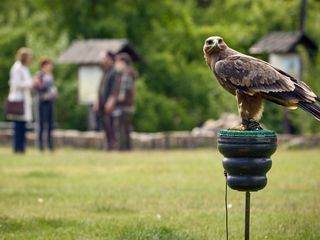 Die Heiland - Wir sind Anwalt Die Heiland - Wir sind Anwalt