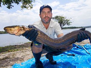 Auf der Suche nach dem Monsterfisch Auf der Suche nach dem Monsterfisch