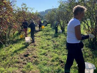 Kulinarische Genuesse im Herbst