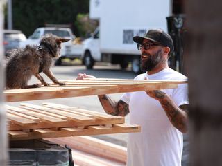 Pet Palace - Haustraeume fuer Haustiere