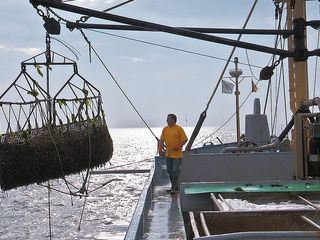 Land im Gezeitenstrom