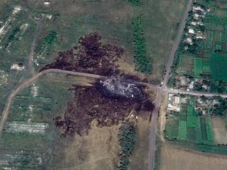 Eiserne Schmetterlinge